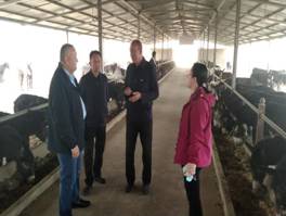 c9ca57369b343db5ffb477ba7f46329